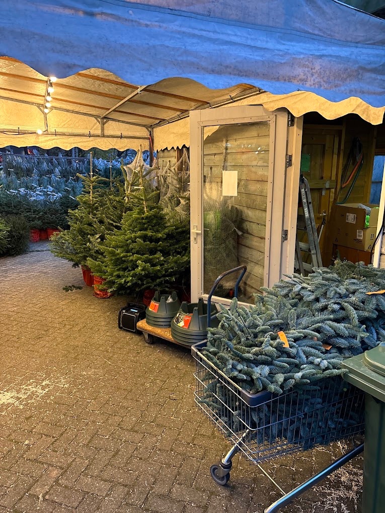 Easyfix standaards en vers dennengroen in de gezellige verkooptent bij Mast Kerstbomen